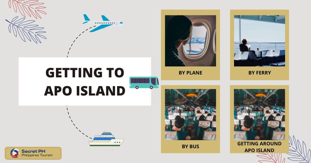 Getting to Apo Island