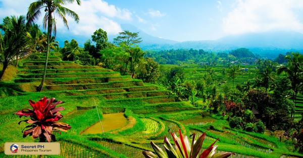 Getting to Tinglayan: Transportation and Accommodation