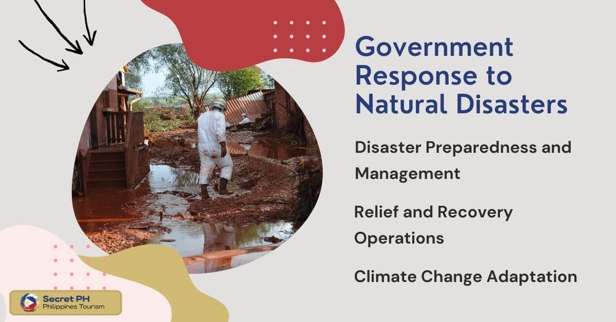 Government Response to Natural Disasters