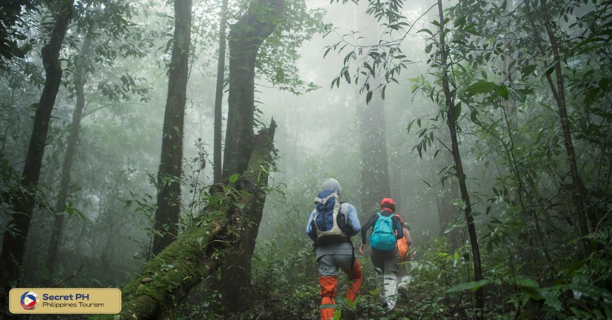 Hiking and Trekking in the Abra Mountains
