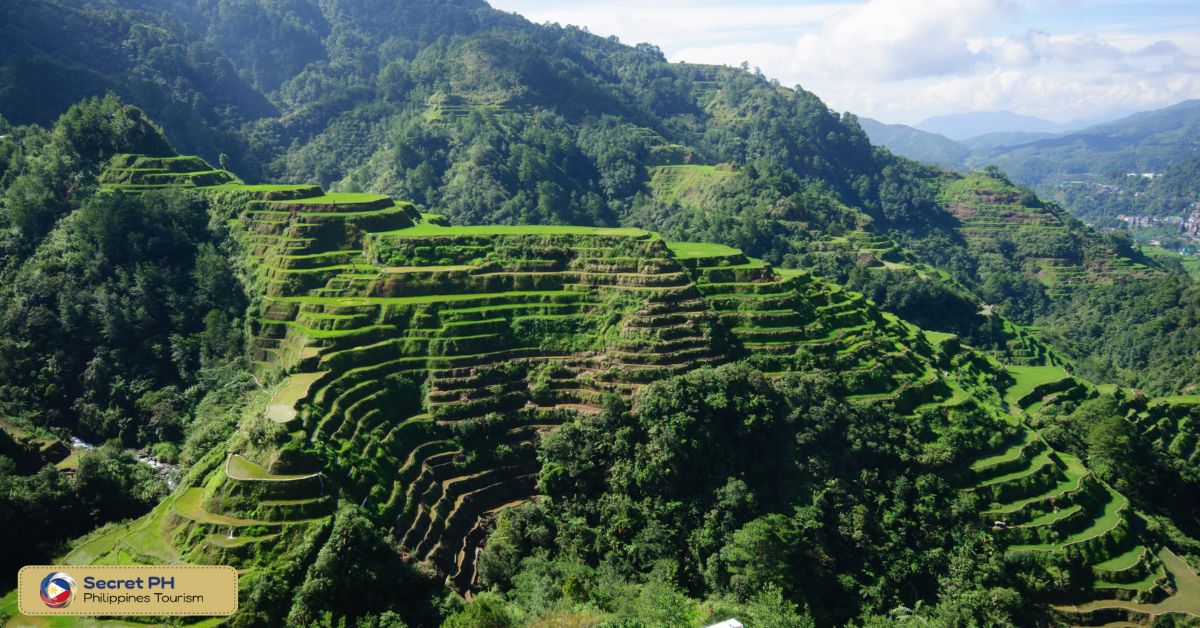 History of the Banaue Rice Terraces