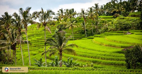 How to Explore Tinglayan's Hidden Gem