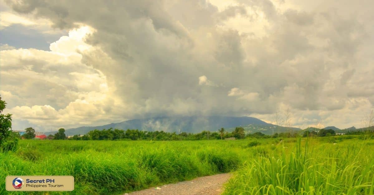 How to Get to Mount Makiling Forest Reserve