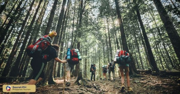 How to Get to Mount Napulauan