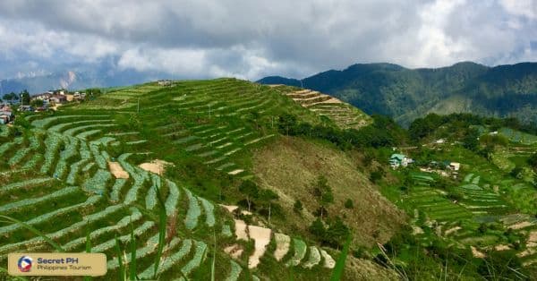 Ifugao Craftsmanship