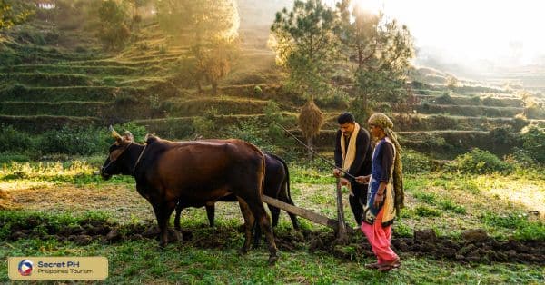Immersive Indigenous Experiences
