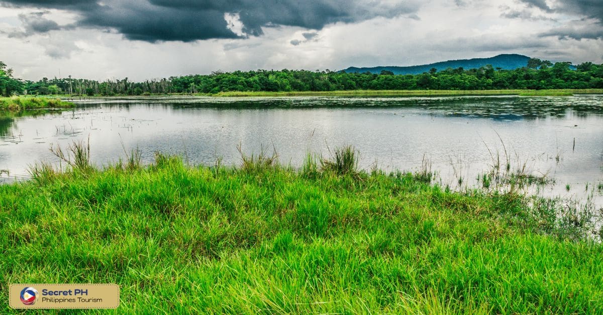 Introduction to Abra River Wildlife Sanctuary