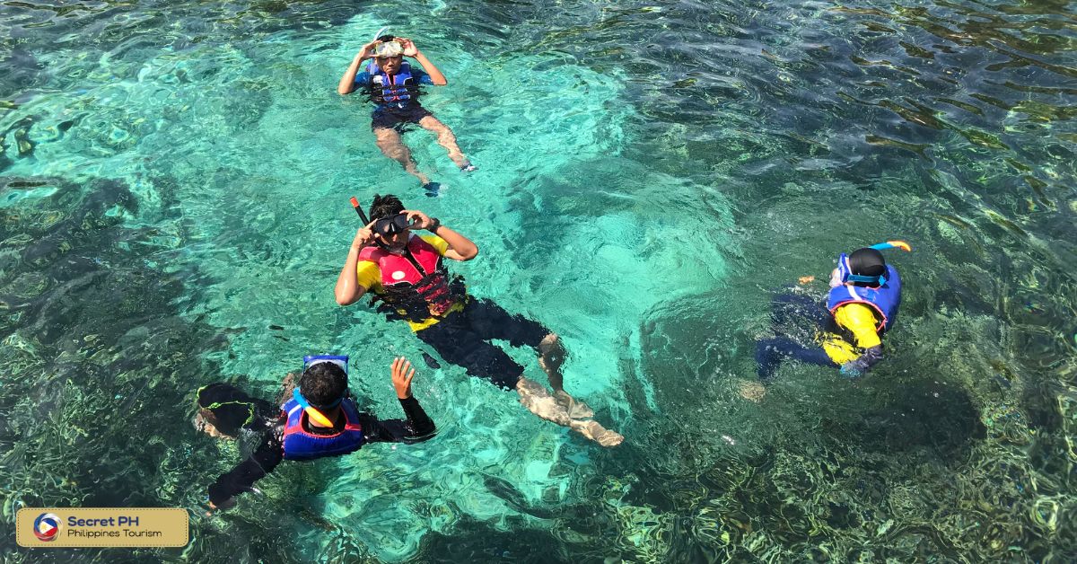 Island Trek Tours