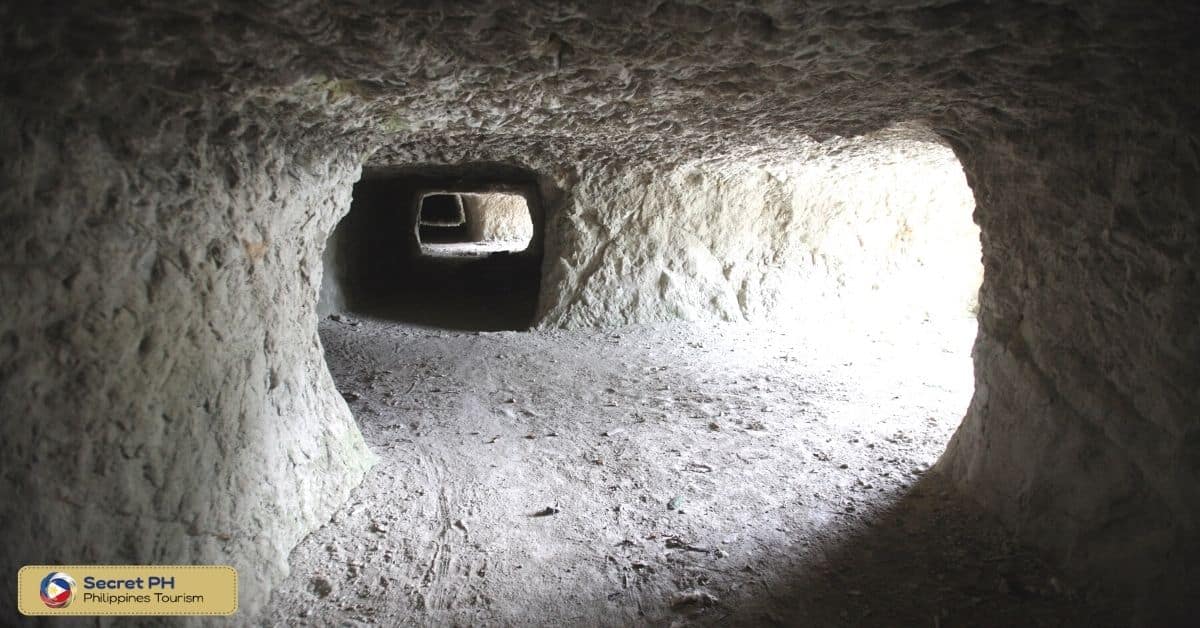Japanese Tunnel & View Deck