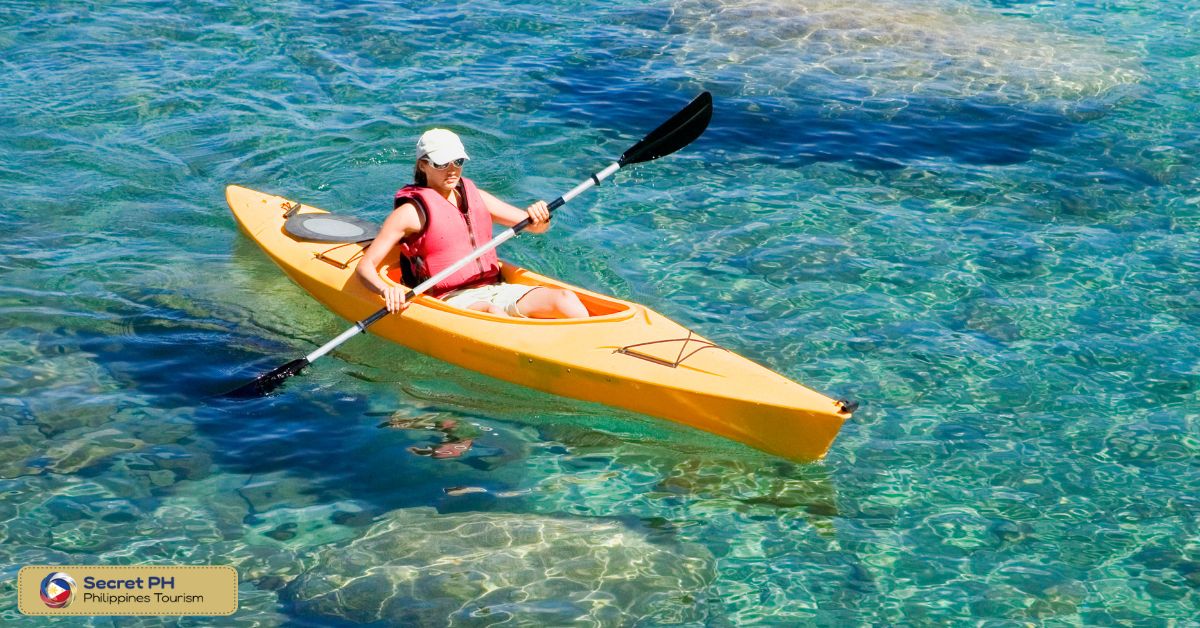 Kayaking & Boat Tours