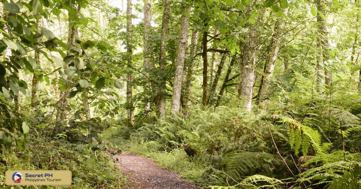 Licuan-Baay Community-Based Forest Conservation Area