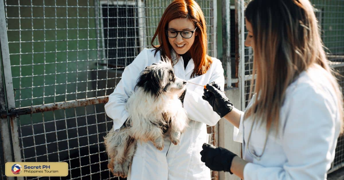Local Government Unit (LGU) Contacts for Animal Emergencies