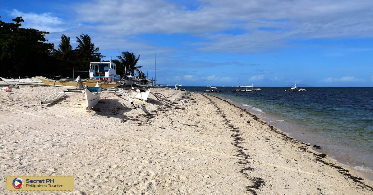 Malapascua Tours