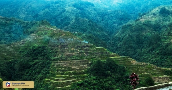 Mount Binuluan