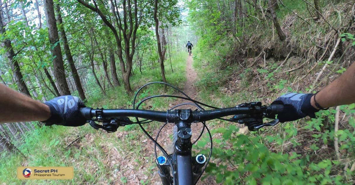 Mount Maarat Trail in San Mateo, Rizal