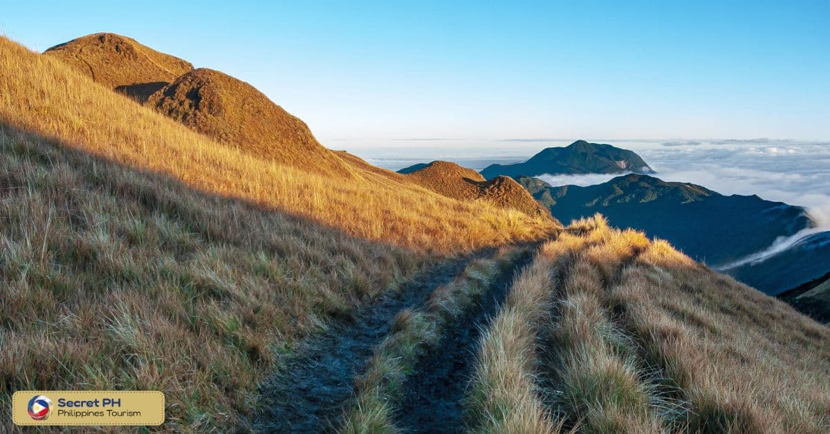 Mt. Pulag National Park (Benguet)