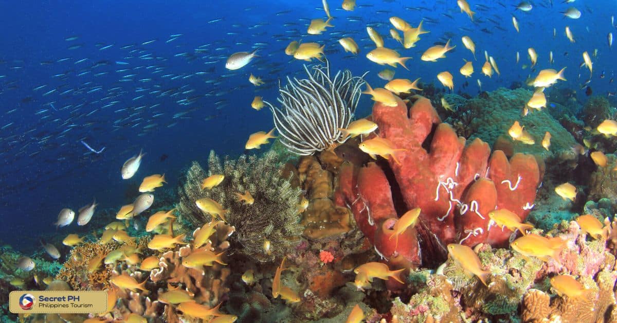 Nasubata Reef