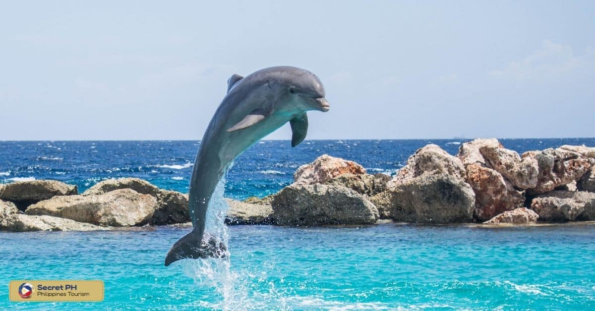 Ocean Adventure Park