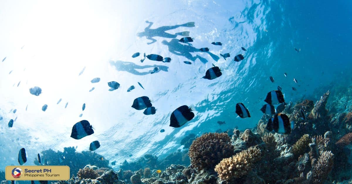 Other Activities to Enjoy in Donsol
