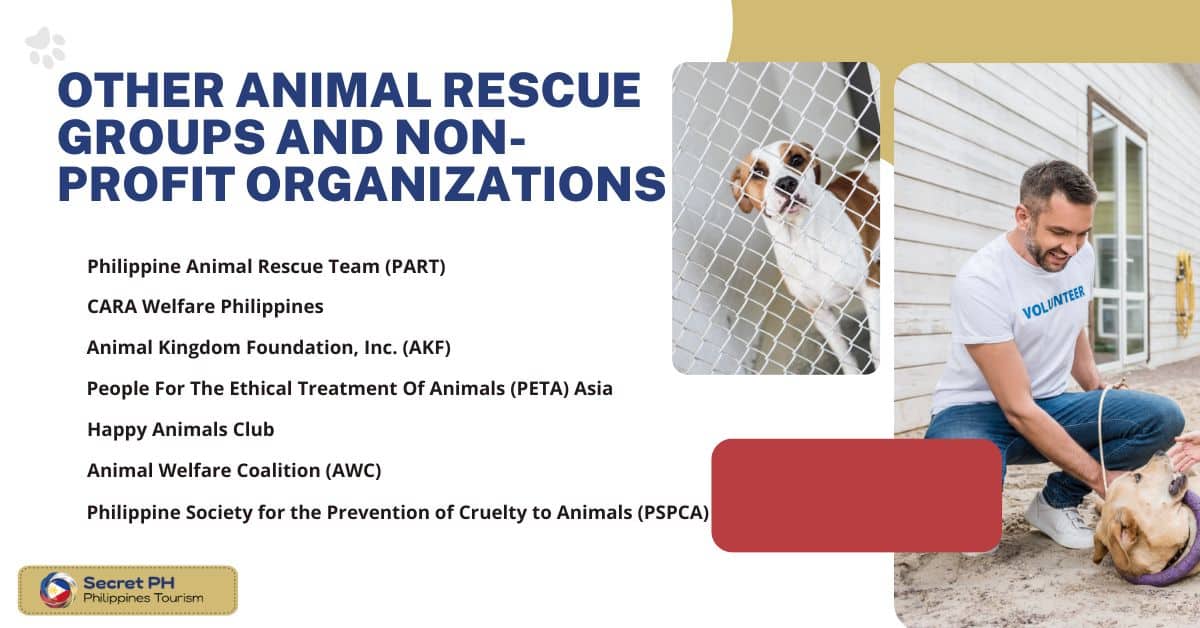Other Animal Rescue Groups and Non-Profit Organizations