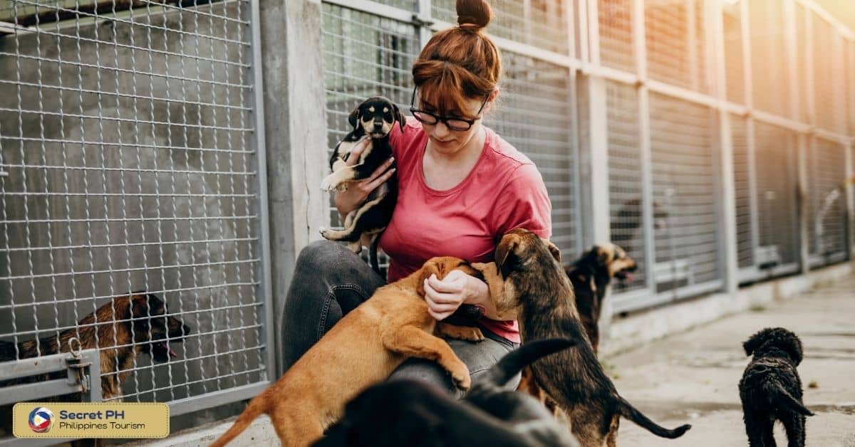 Protecting and Caring for Animals in Crisis Situations