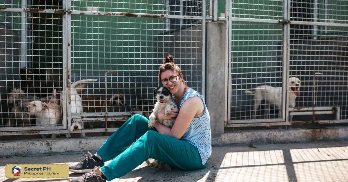 Providing Safe Havens for Displaced Animals