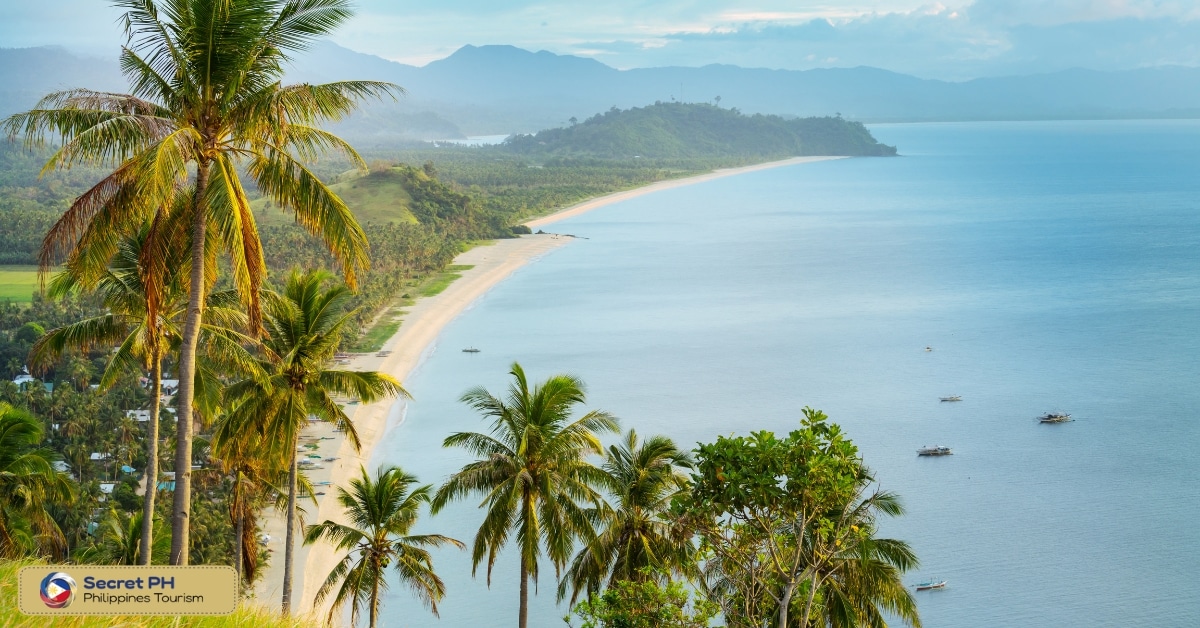 Qi Palawan