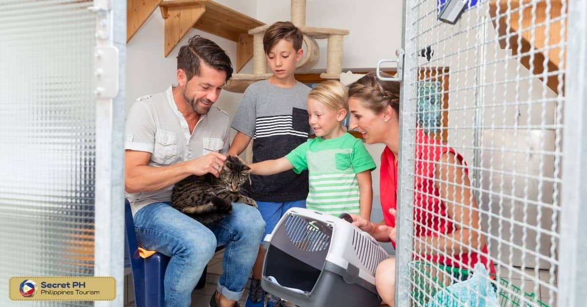 Reuniting Lost Pets and Finding Forever Homes
