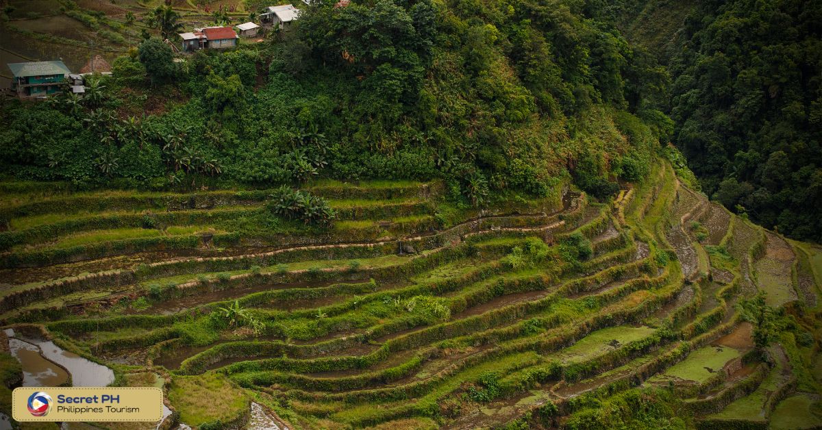 Sagada