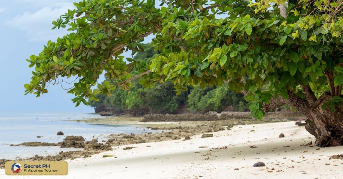 Samal Beach & Island Garden City of Samal
