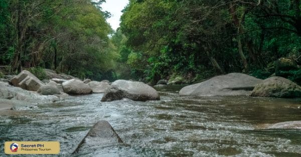 Serene and Pristine Rivers