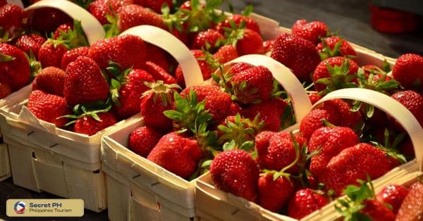 Showcasing Benguet's Agricultural Products