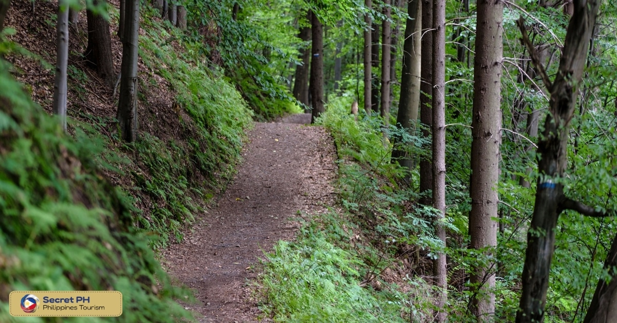 Stay on designated trails