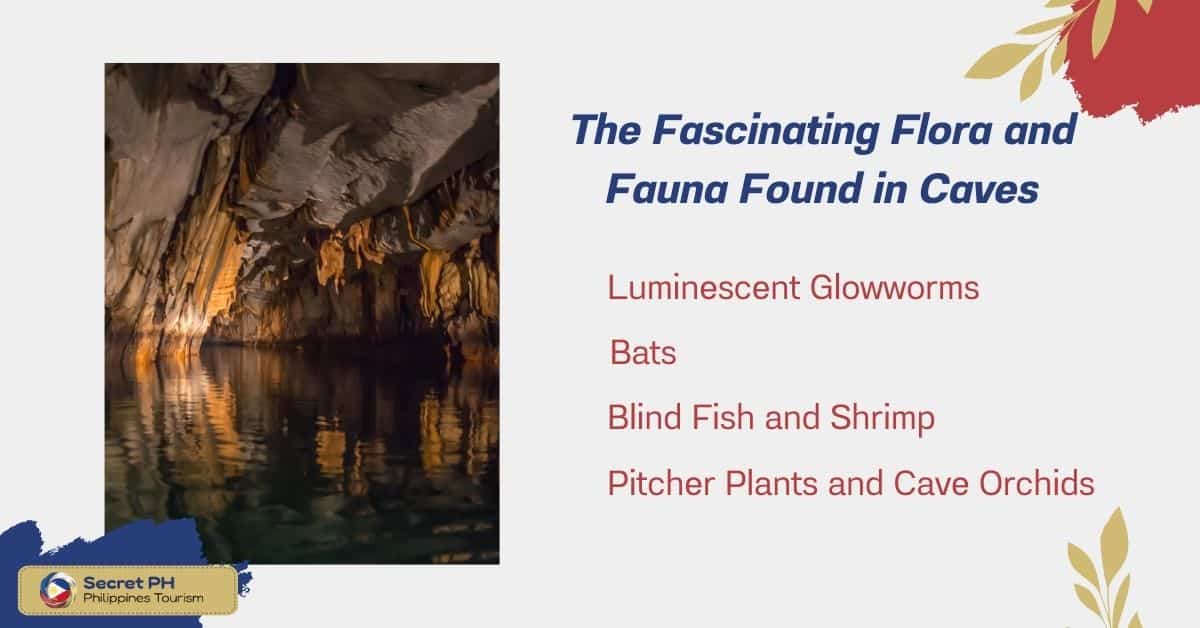 The Fascinating Flora and Fauna Found in Caves