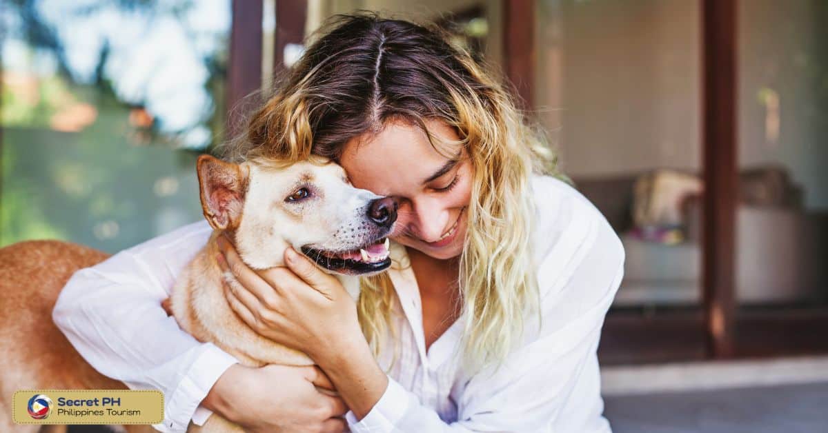 The Importance of Knowing Who to Call for Animal Emergencies
