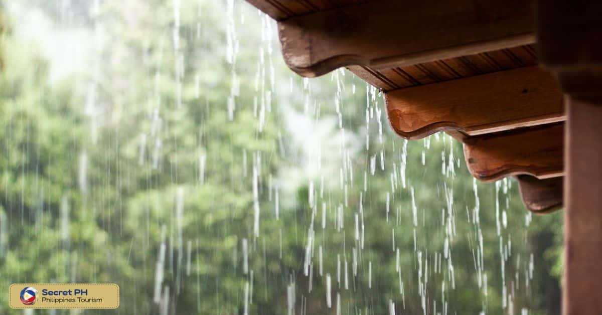 The Importance of the First Rain
