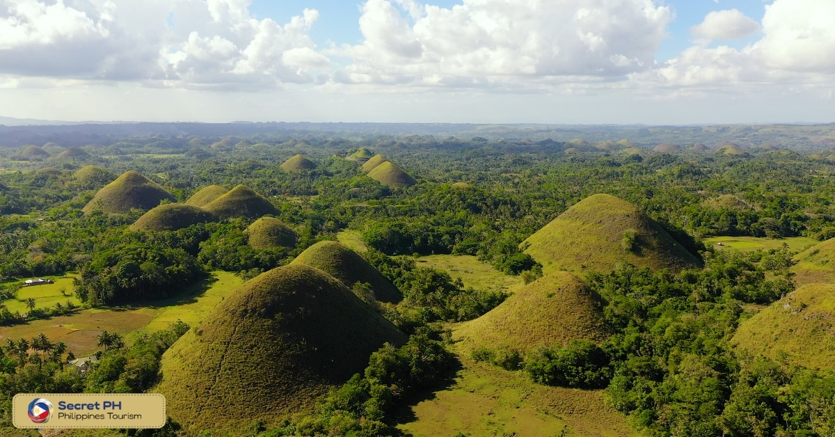 Chocolate Hills view