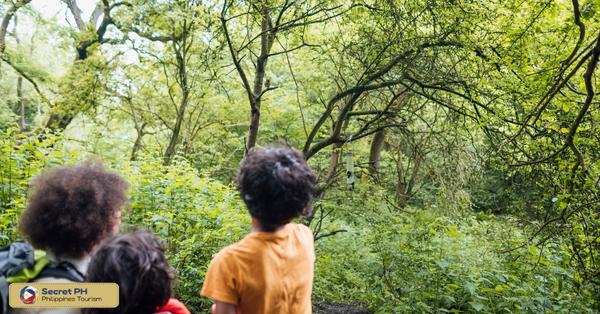 The Wildlife Sanctuaries of Ifugao