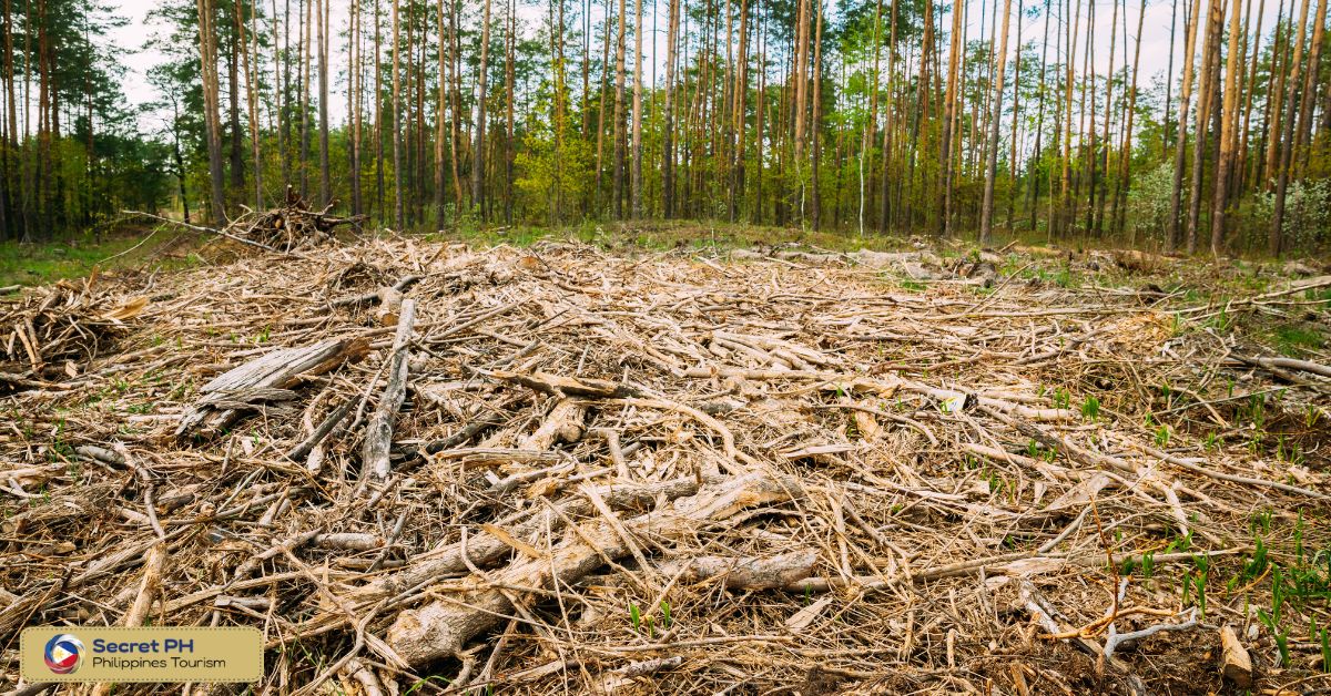 Threats to Sierra Madre's Wildlife and Ecosystem1