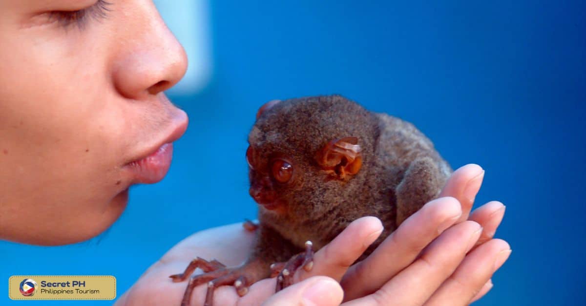 8. Threats to the Tarsier Population