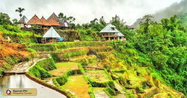 Tips for a Memorable Stay in a Local Homestay
