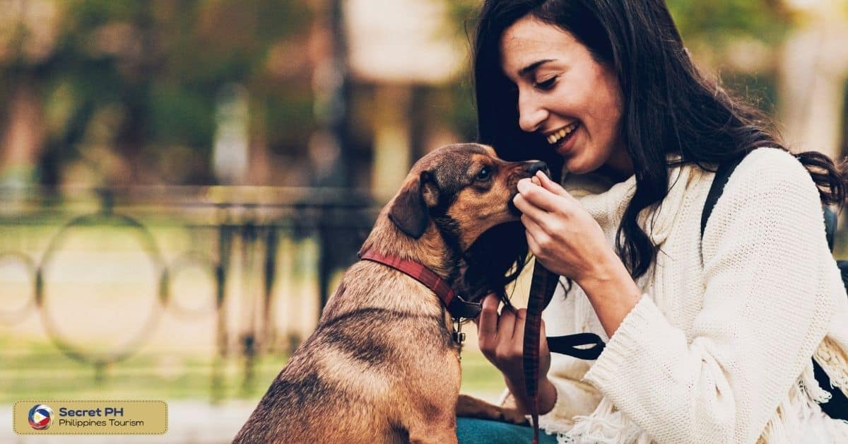 Tips for Traveling with Your Pet