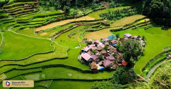 Tips for Visiting Banaue Viewpoint