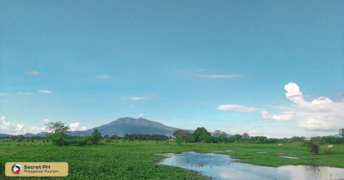 Tips for Visiting Mount Makiling Forest Reserve
