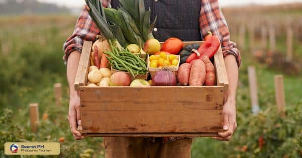 Traditional Cooking Methods and Techniques