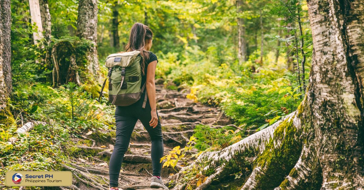 Trek to the Top of Kanlaon Volcano in Negros Oriental