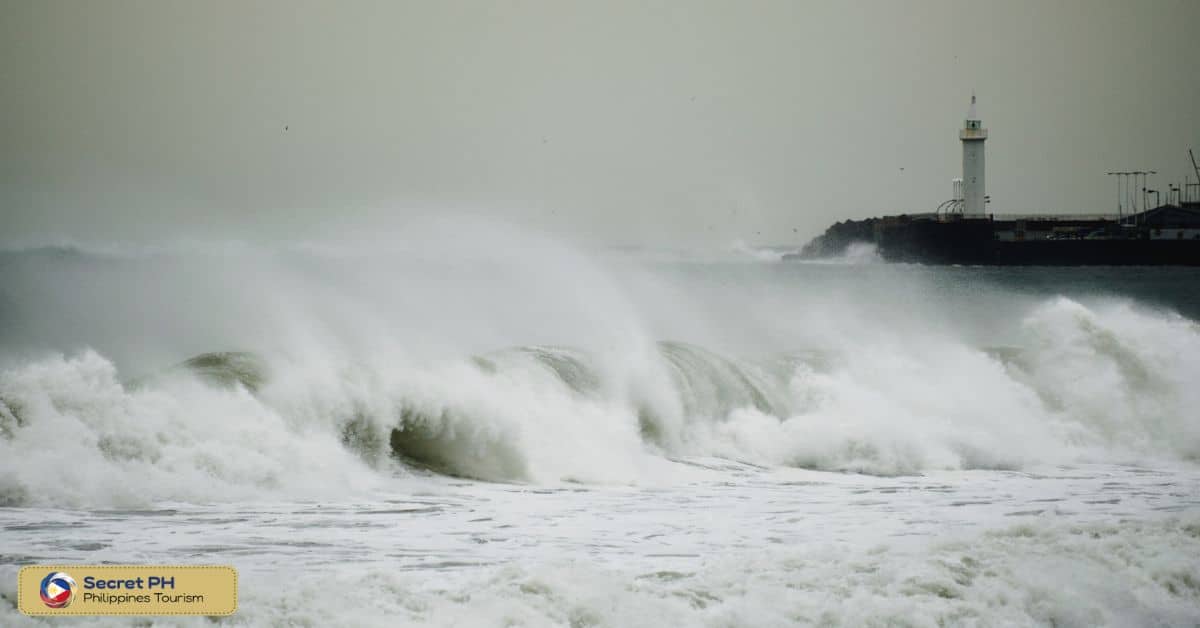 Tropical Cyclones