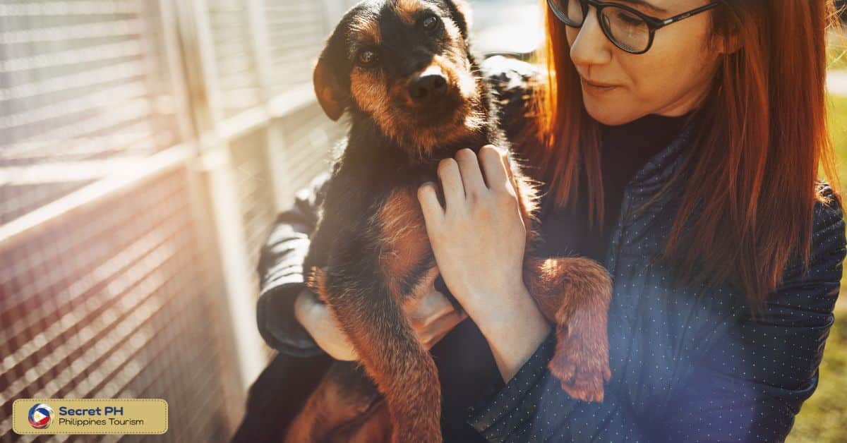 Types of Animal Health Concerns Handled