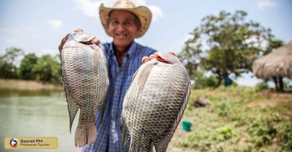 Types of Fish in Apayao_ Learn about the Local Species
