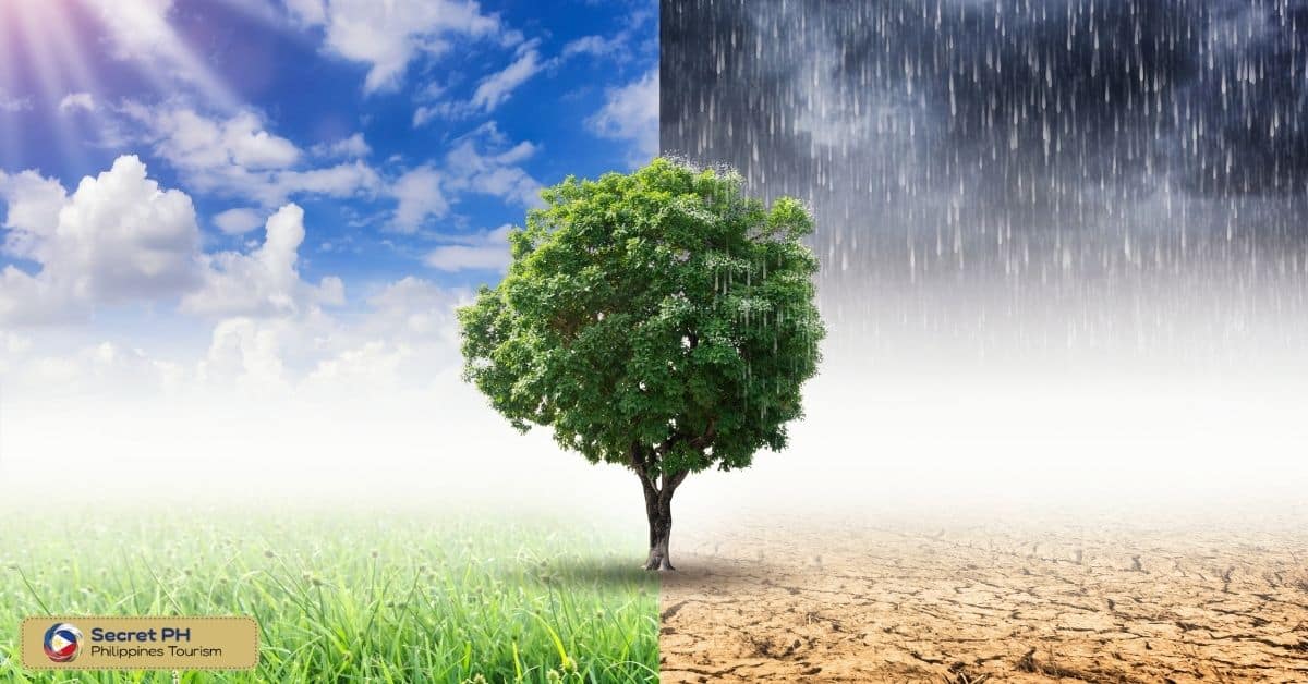 Understanding the Philippines' Climate_ Seasons, Temperature, and Humidity